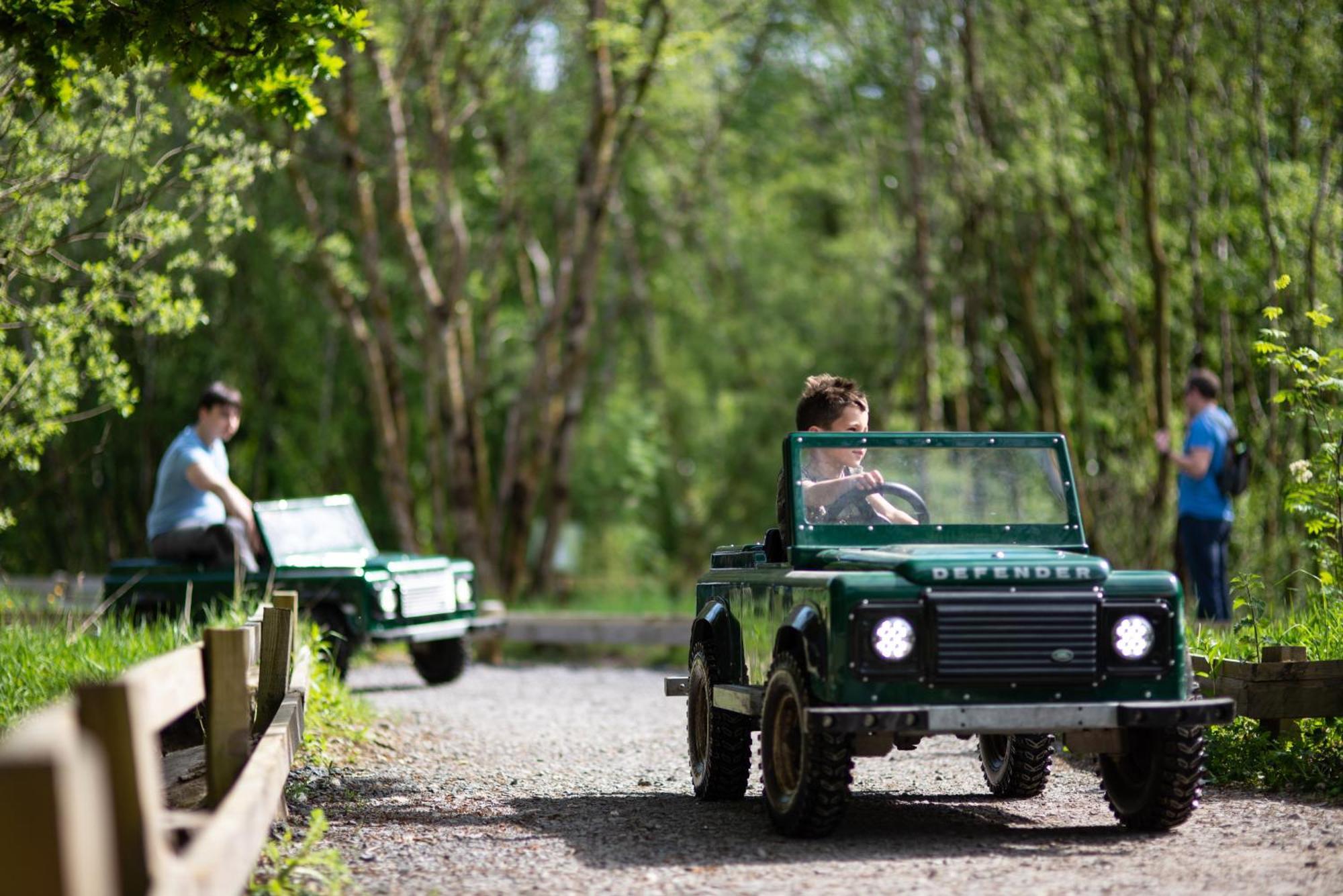 Lodge Wildlands Galway